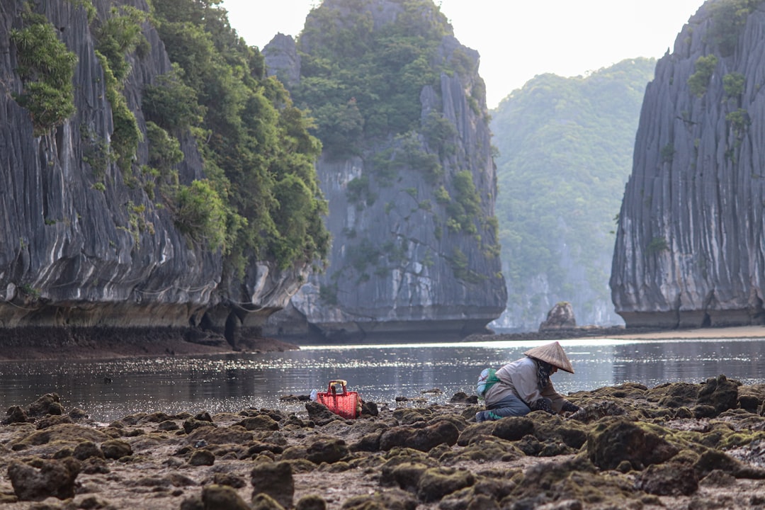 Photo Image: Woman sitting